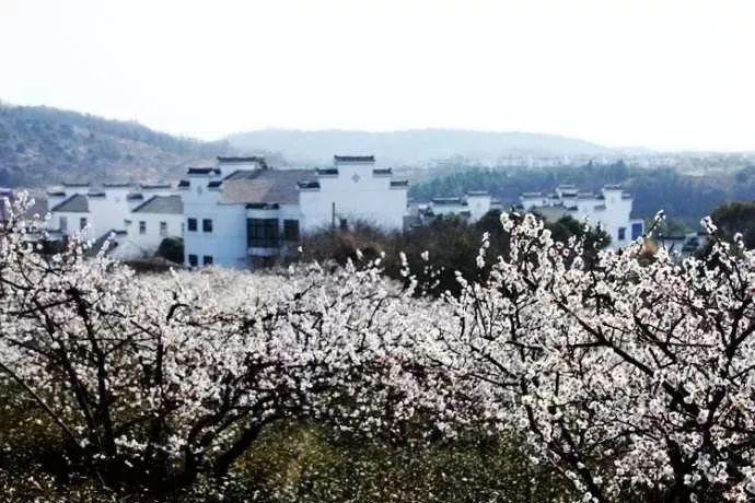 我的定期存款被别人用网络银行取走能查到吗？游戏画面